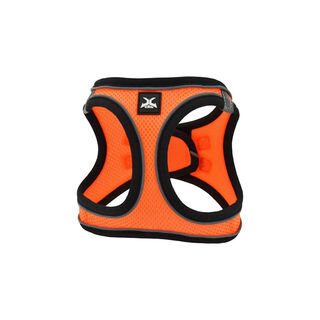Nayeco X-TRM Neo Laranja Peitoral para cães